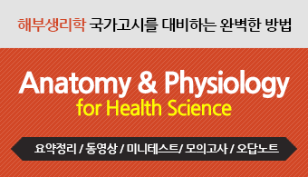 AnatoPhysiology